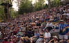 merlefest2002image63