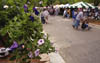 merlefest2002image69