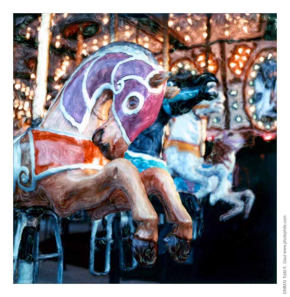 sffpolaroid02