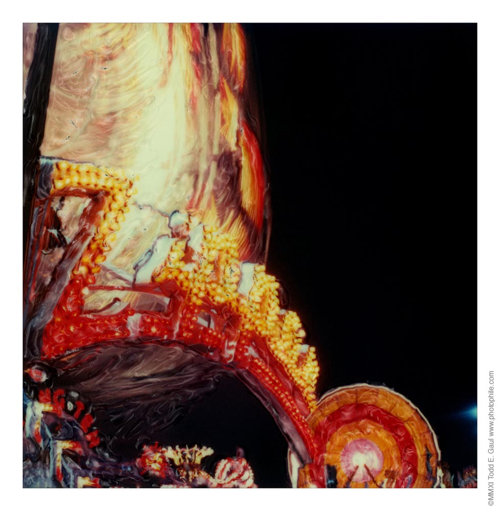 sffpolaroid12